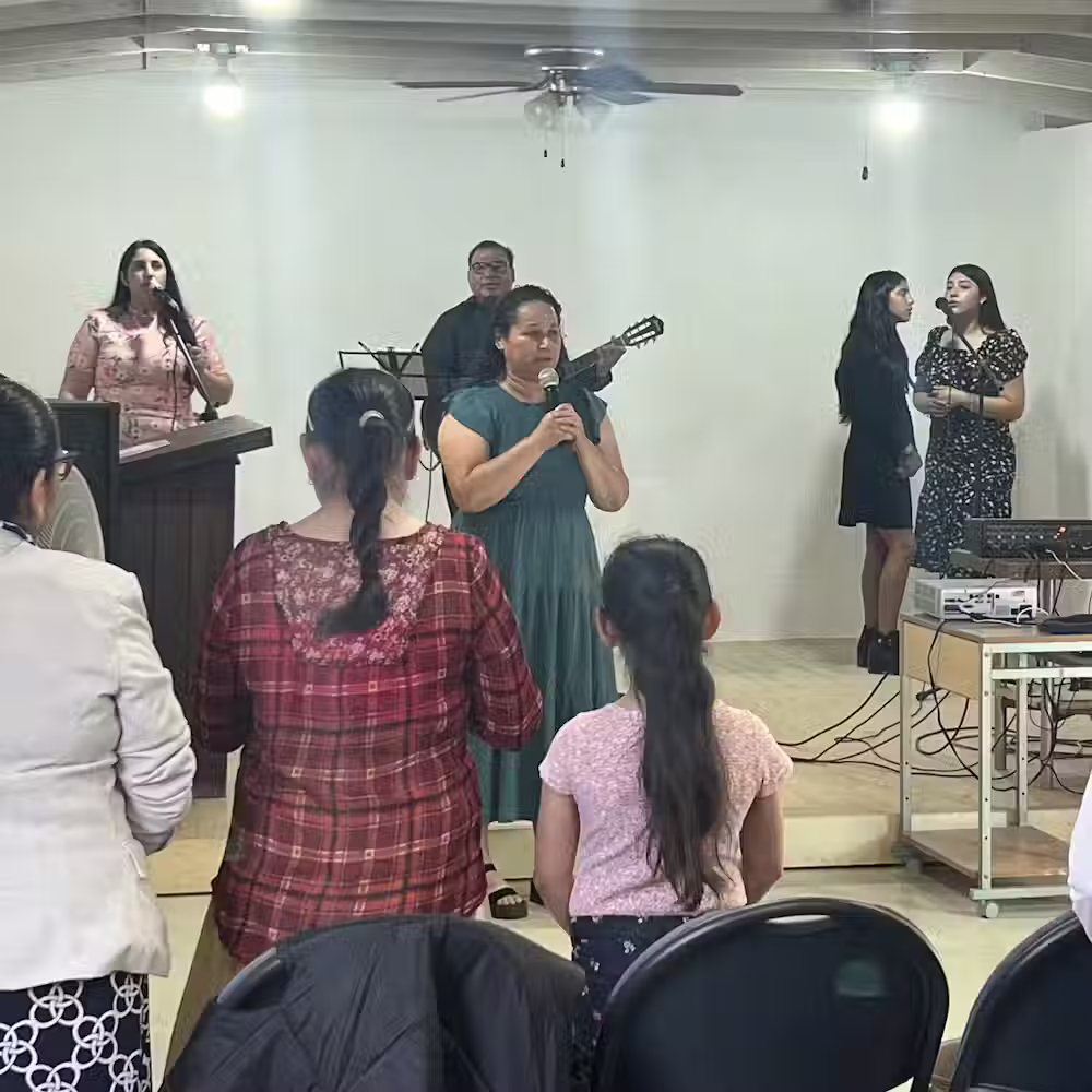 from vision to action in ensenada