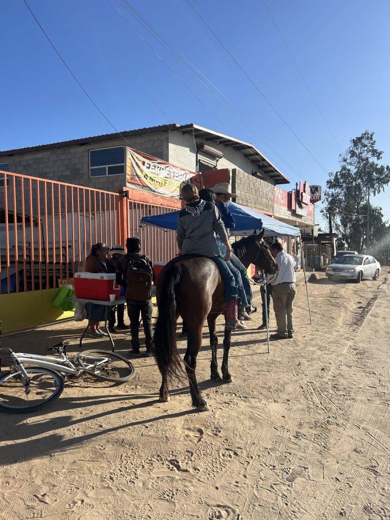 One Year of Tamales and Prayer: A Community Outreach Story in Ensenada horses tamales